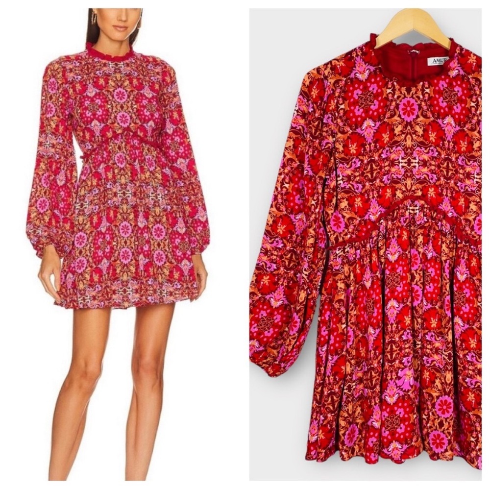AMUR Codi Rosewood Kaleidoscope Paisley Floral dress
